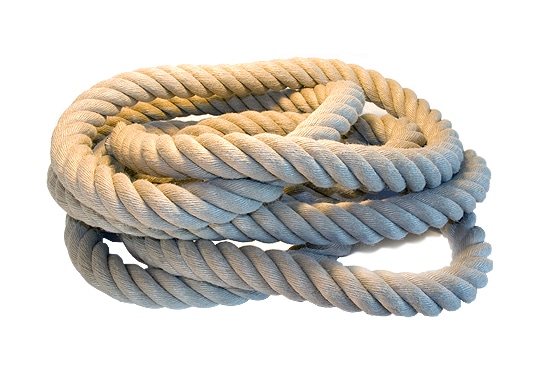 Hampa 36mm