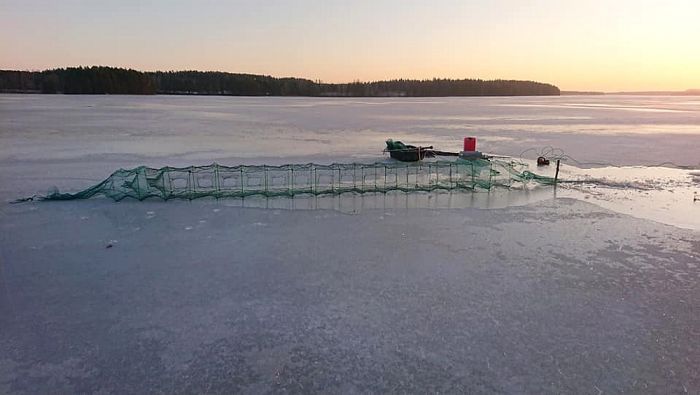 Mjärde Aapo 18 8,5m - Bild 4